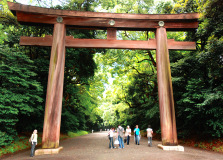Muza chan's Japan Photo Gallery